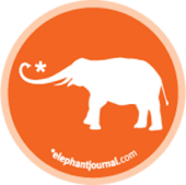 elephant journal