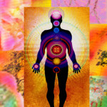 Manifest Your Dreams by Priming Your Chakras