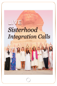 feature-sisterhood-integration-calls feature-sisterhood-integration-calls